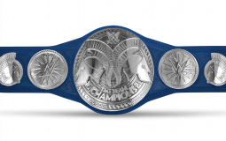 WWE Smackdown Tag Team